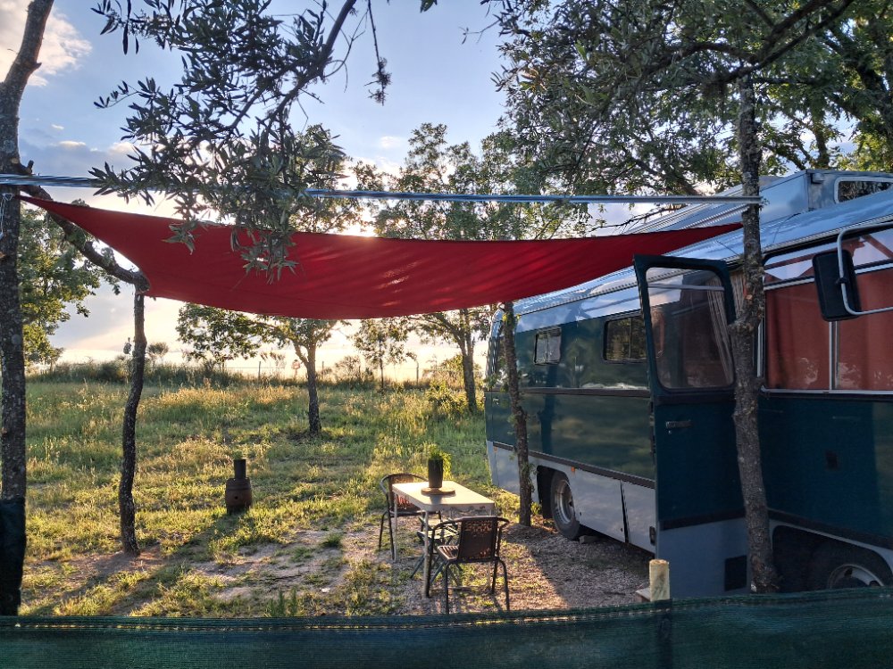 Aire camping-car  Pedrgo de So Pedro (6090-421) - Photo 4